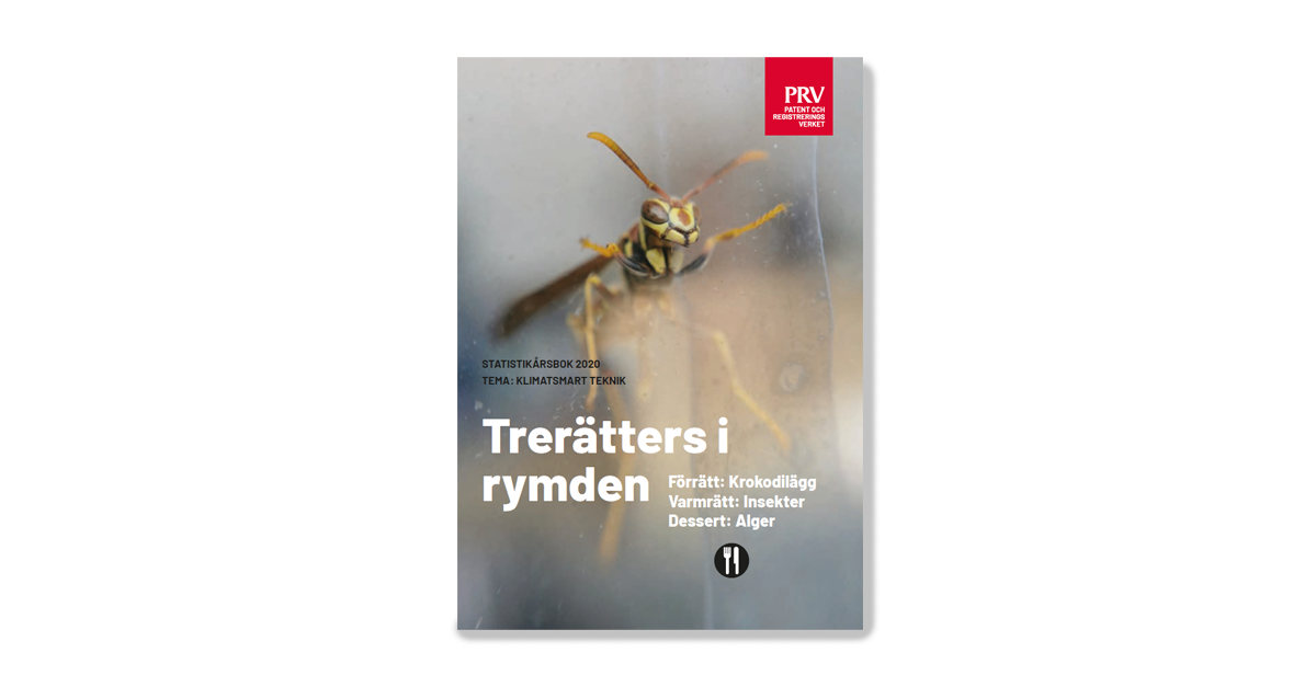 Bild på Statistikårsboken